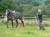 Pferdehof Kimara